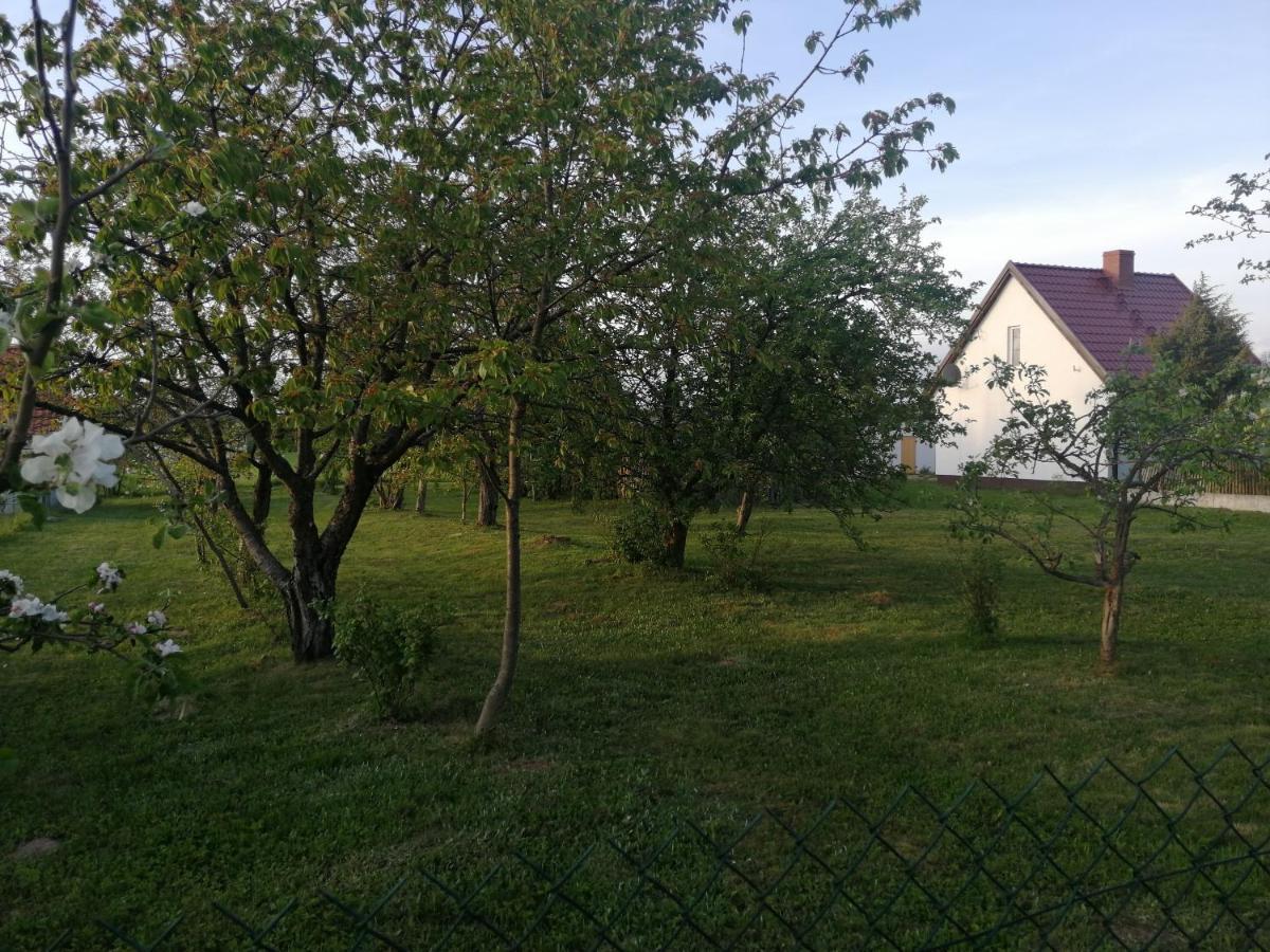 Vila Sleeping Harsz Exteriér fotografie