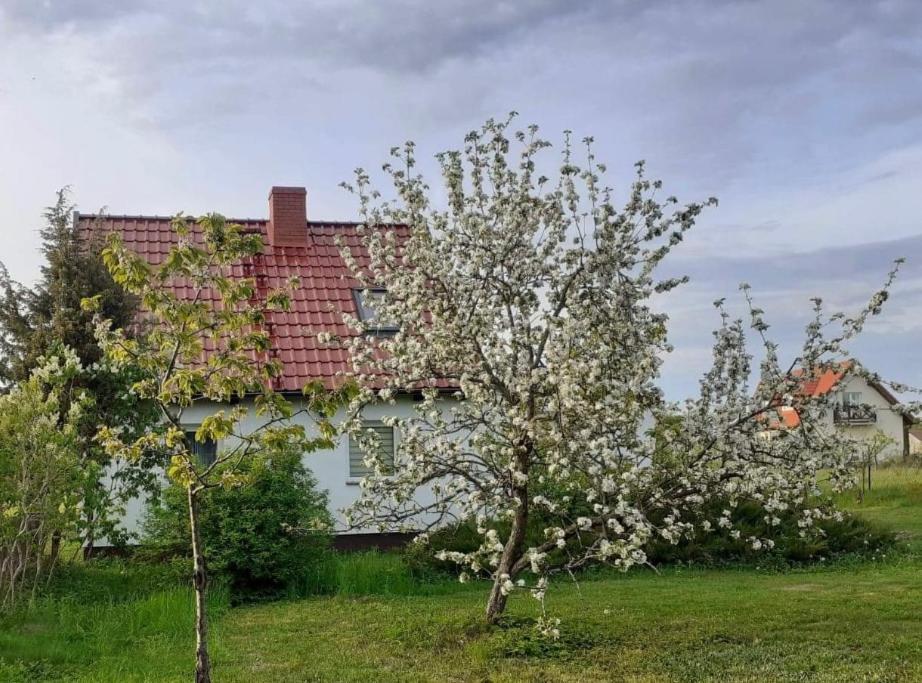 Vila Sleeping Harsz Exteriér fotografie